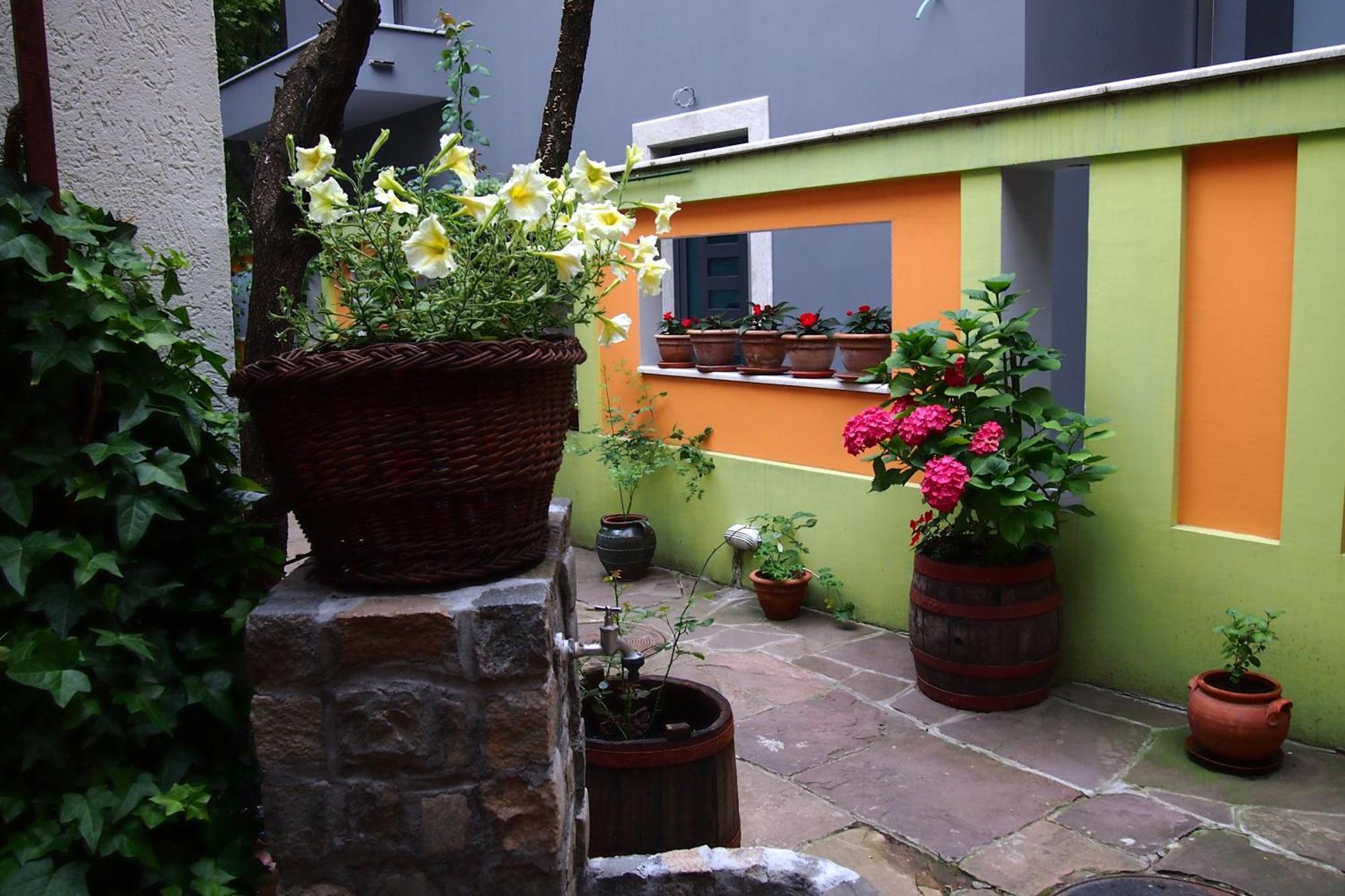 Guest Accommodation Etno Konak Tasana Ni エクステリア 写真