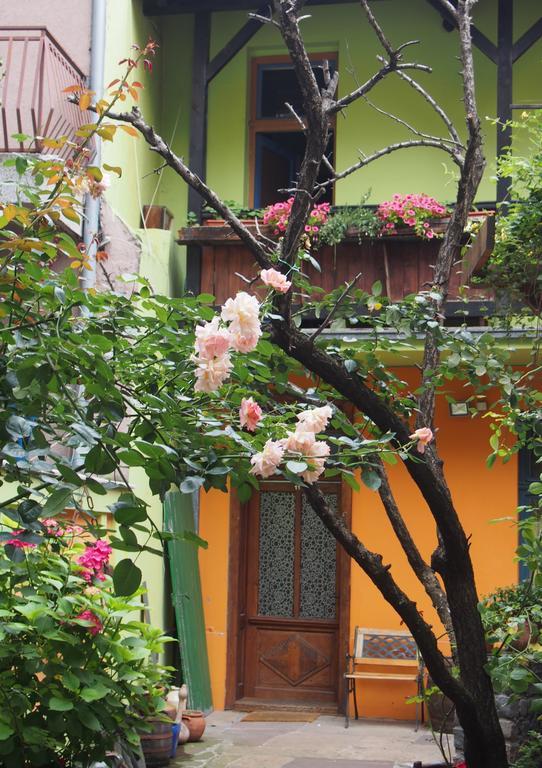 Guest Accommodation Etno Konak Tasana Ni エクステリア 写真