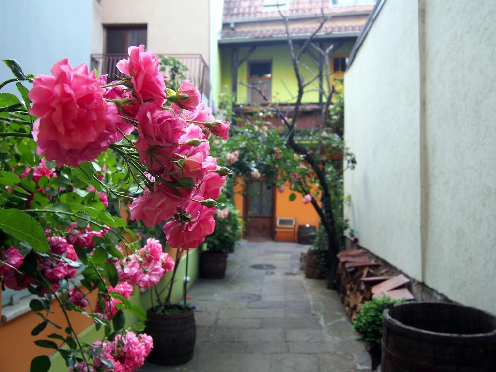 Guest Accommodation Etno Konak Tasana Ni エクステリア 写真