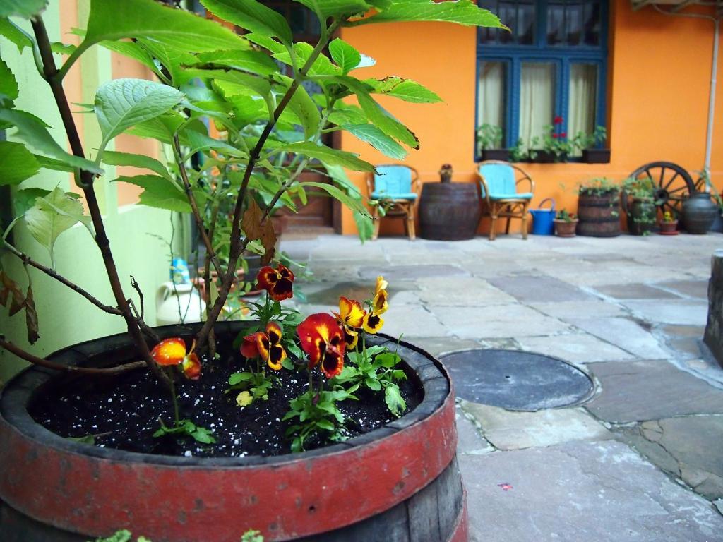 Guest Accommodation Etno Konak Tasana Ni エクステリア 写真
