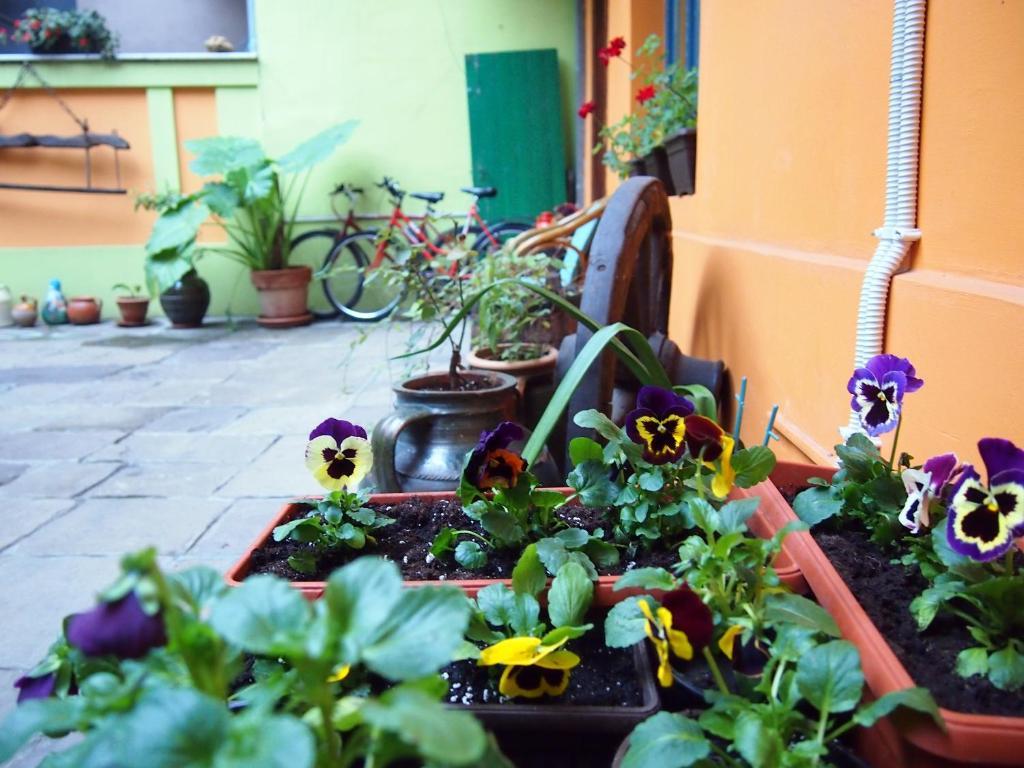 Guest Accommodation Etno Konak Tasana Ni エクステリア 写真